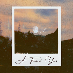 国产高潮一区视频免费
