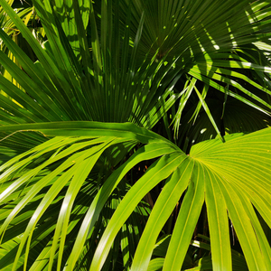 国产高潮一区视频免费
